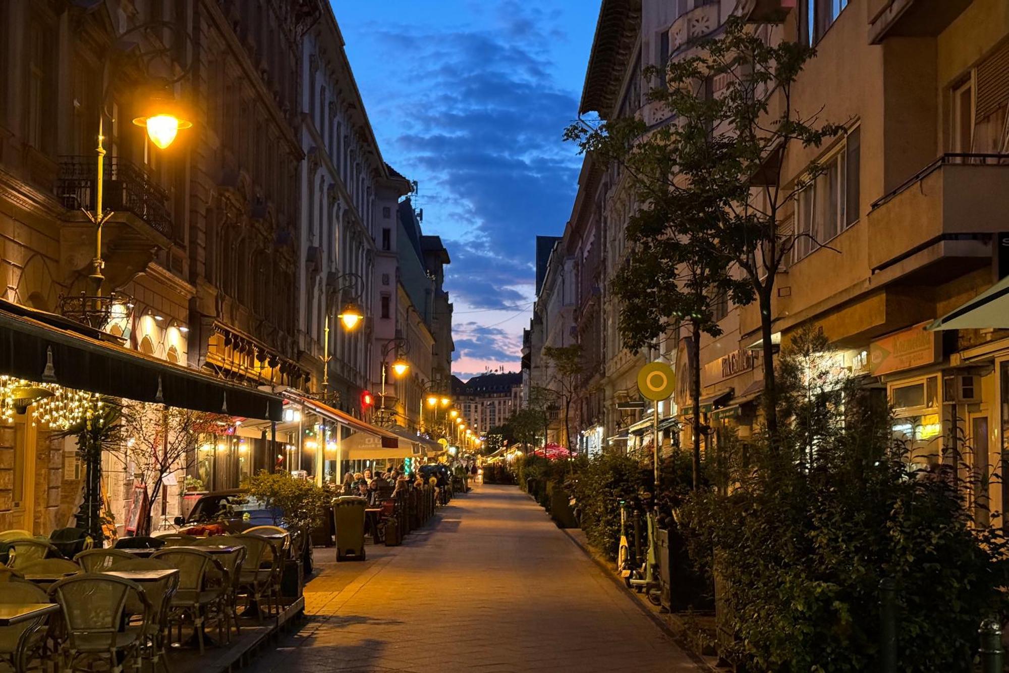 Jungle Aesthetics Downtown Apartman Aircon And Garage Parking Budapest Exterior foto