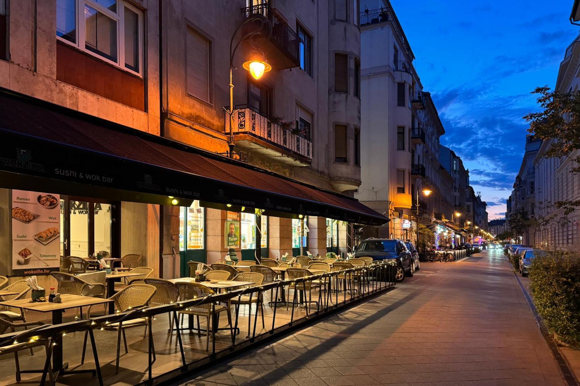Jungle Aesthetics Downtown Apartman Aircon And Garage Parking Budapest Exterior foto